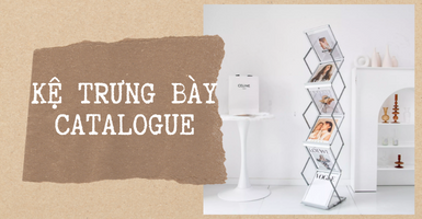 Kệ Catalogue là gì, cấu tạo, kích thước và hướng dẫn sử dụng