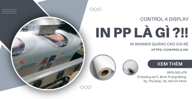 In PP là gì? Những thông tin cần biết trước khi chọn in PP